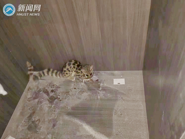 81d60a100f304b51addc7296dece1bb5.jpg 微信图片_20220817164809_副本.jpg